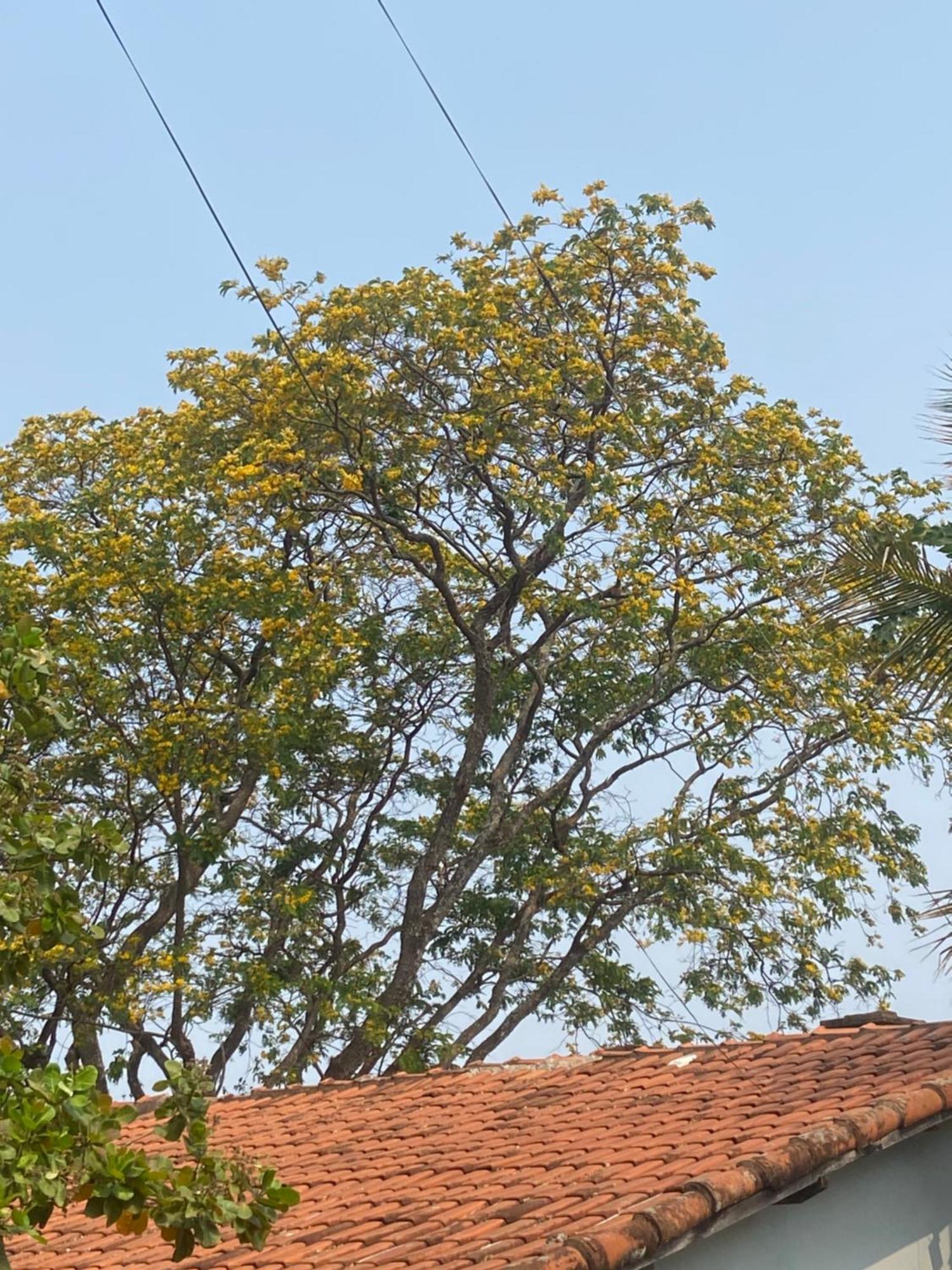 Quarto Privativo Chacara Pe Na Roca Brotas Buitenkant foto